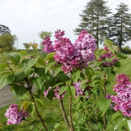 Nyaraló Le Grand Puy Loup, Proche Puydufou Saint-Amand-sur-Sevre